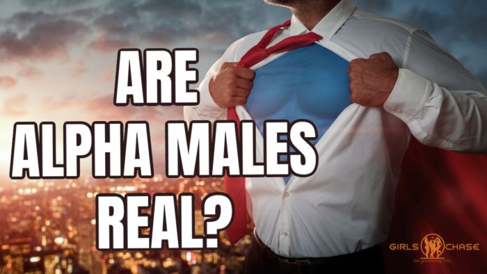 Do Alpha Males Exist?