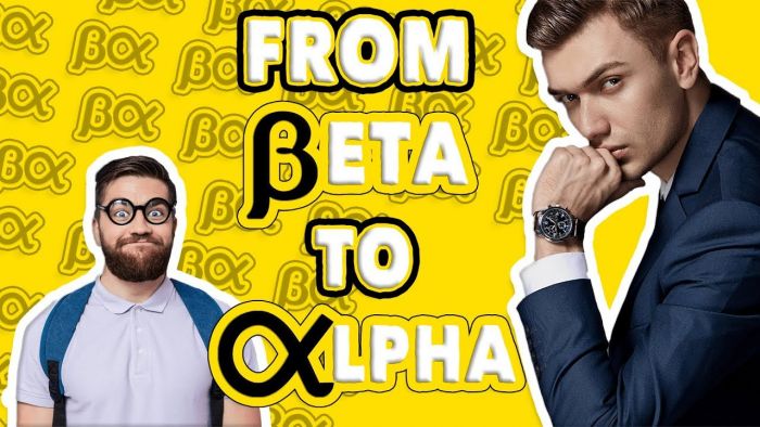 How to Go From Beta Male to Alpha Male